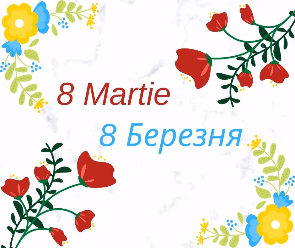 89256658_1500186423484197_360853767706378240_n