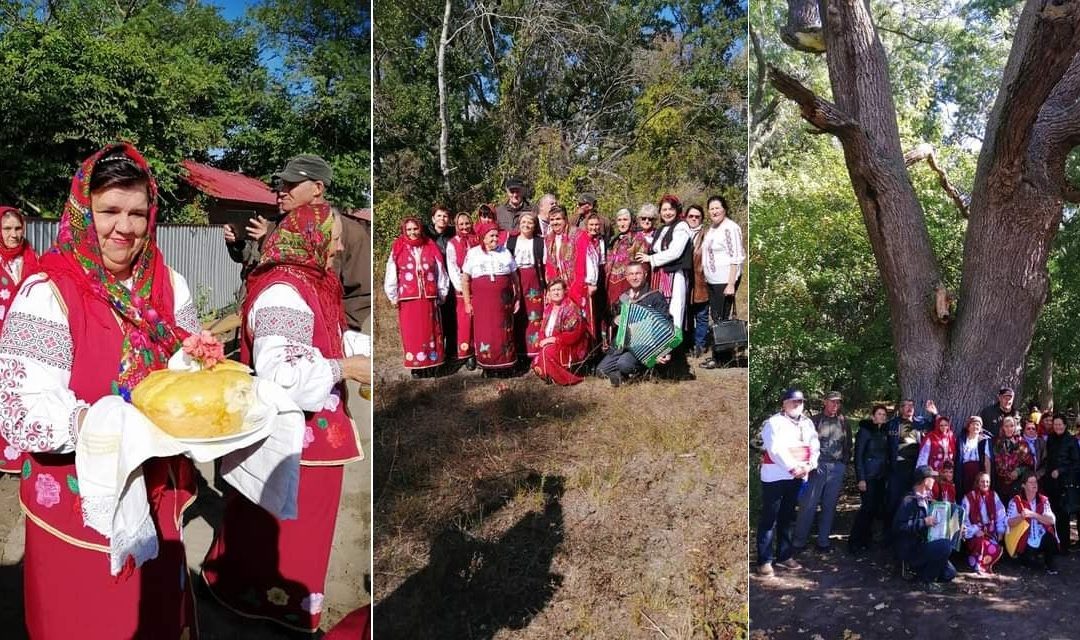 «Дні української культури» у приміщені організації СУР у селі Леті Тулчанського повіту