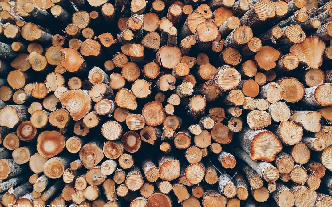 Problema acută a lemnelor de foc necesare pentru încălzirea locuințelor
