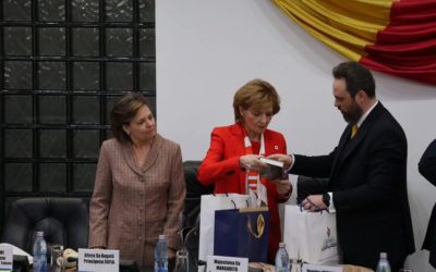 Întâlnire la Tulcea cu Majestatea Sa Margareta, Custodele Coroanei Române