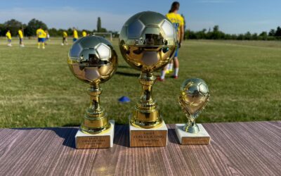 Entuziasm și pasiune la faza județeană a Campionatul Ucrainean de Fotbal-2024