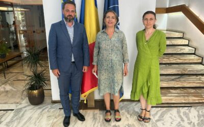 Întrevedere cu directorul general al IDR, doamna Liliana Popescu-Bîrlan