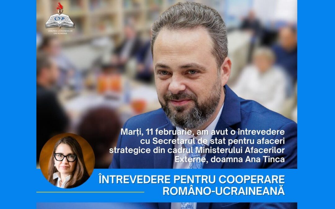 Întrevedere cu secretarul de stat pentru afaceri strategice din cadrul MAE, Ana Tinca