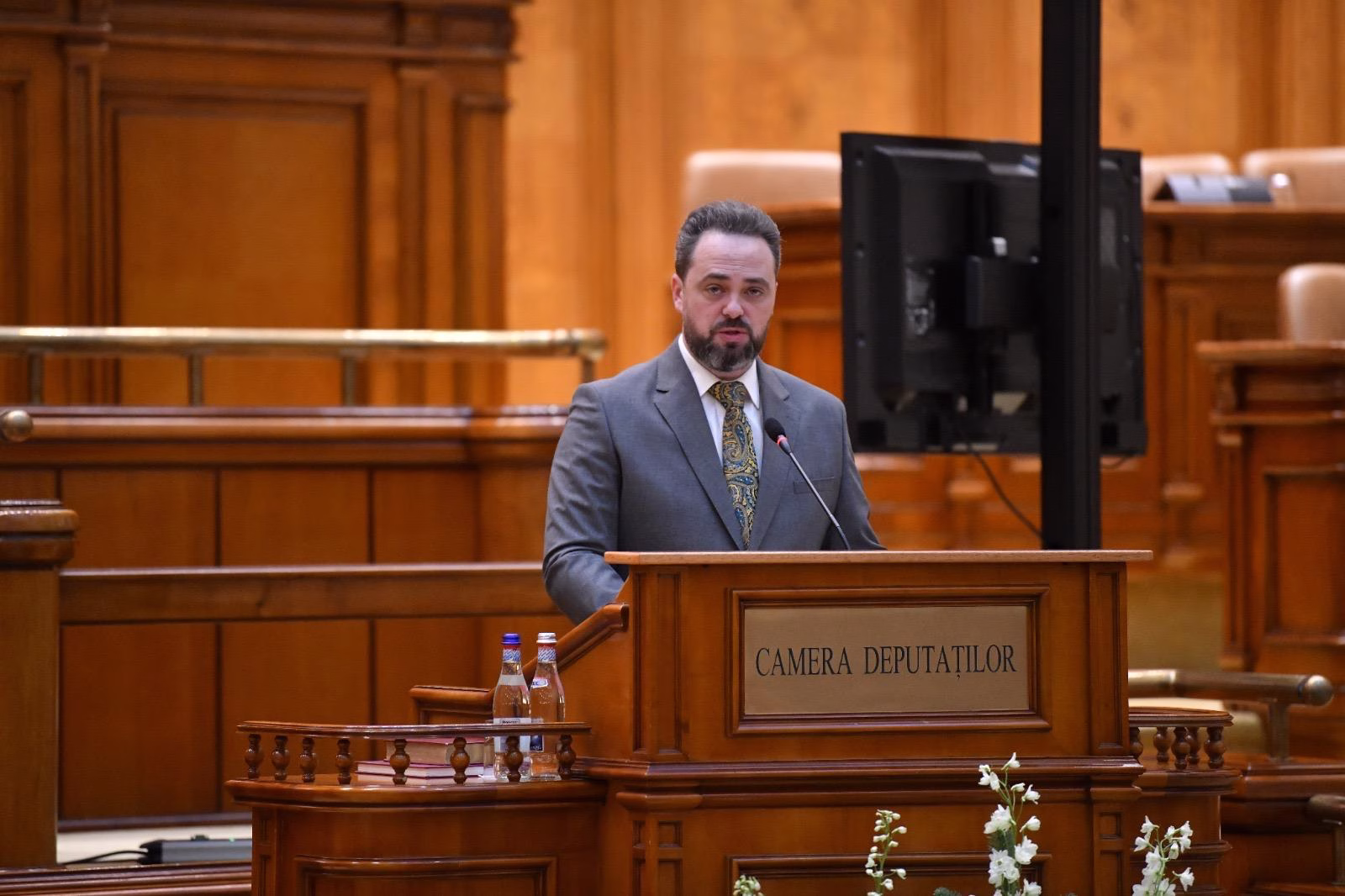 Declarartie politica 25.03